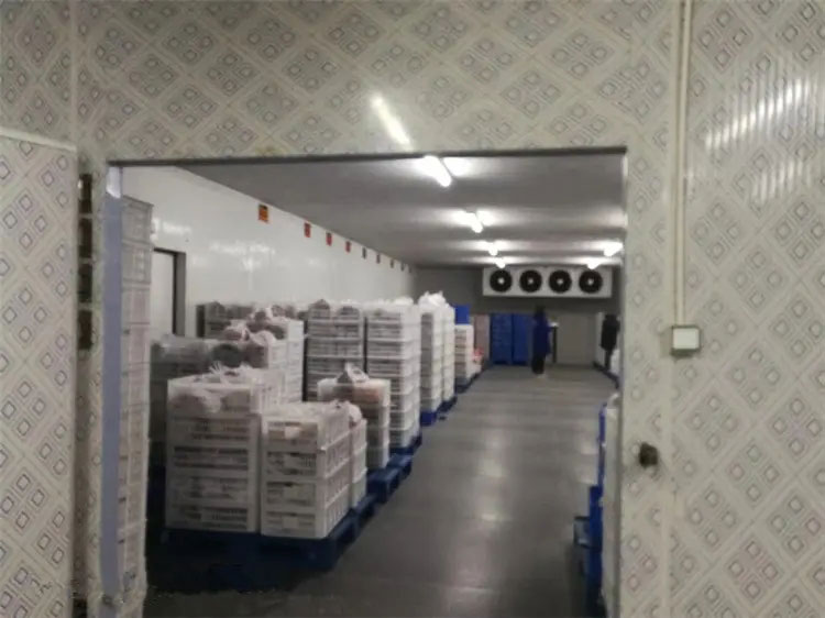 图为Vsport工程建造的冷库